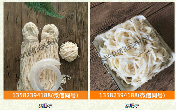 天然肠衣-91精品麻豆视频